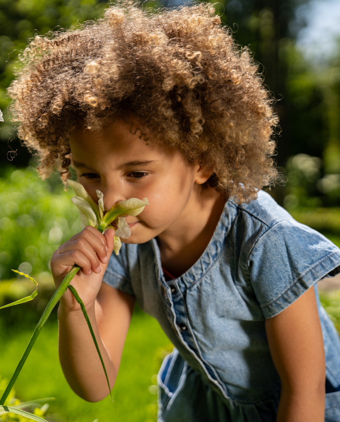 Denim Delight | Traper haljina za djevojčice s kratkim rukavima