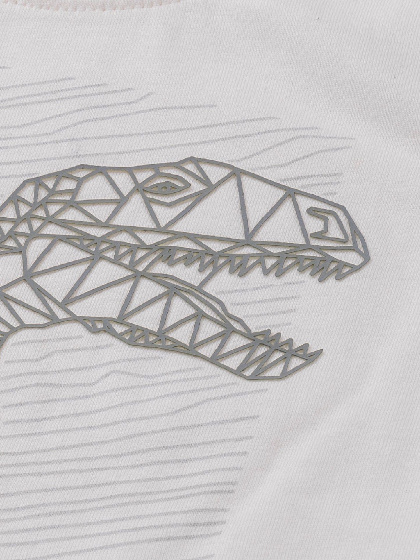 Majica dugih rokava za dječake | Star White Dino