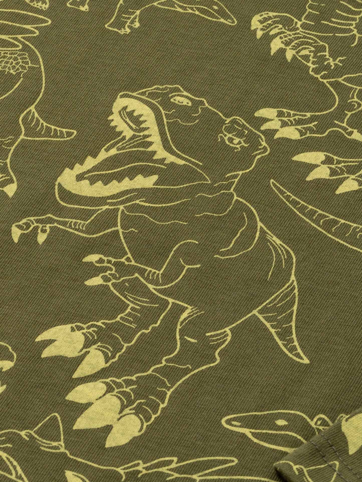 Majica dugih rukava za dječake | Dark Green Dino