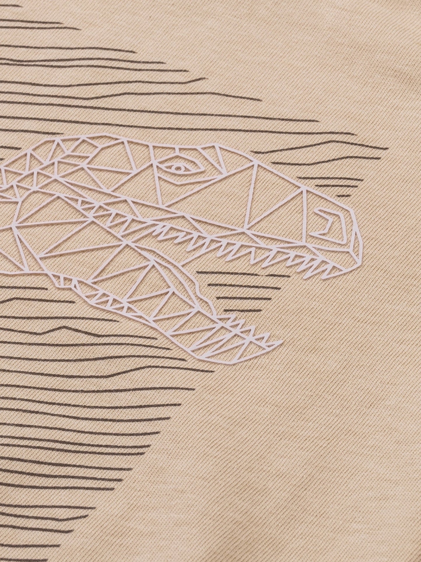 Majica dugih rukava za dječake | Brown Rice Dino