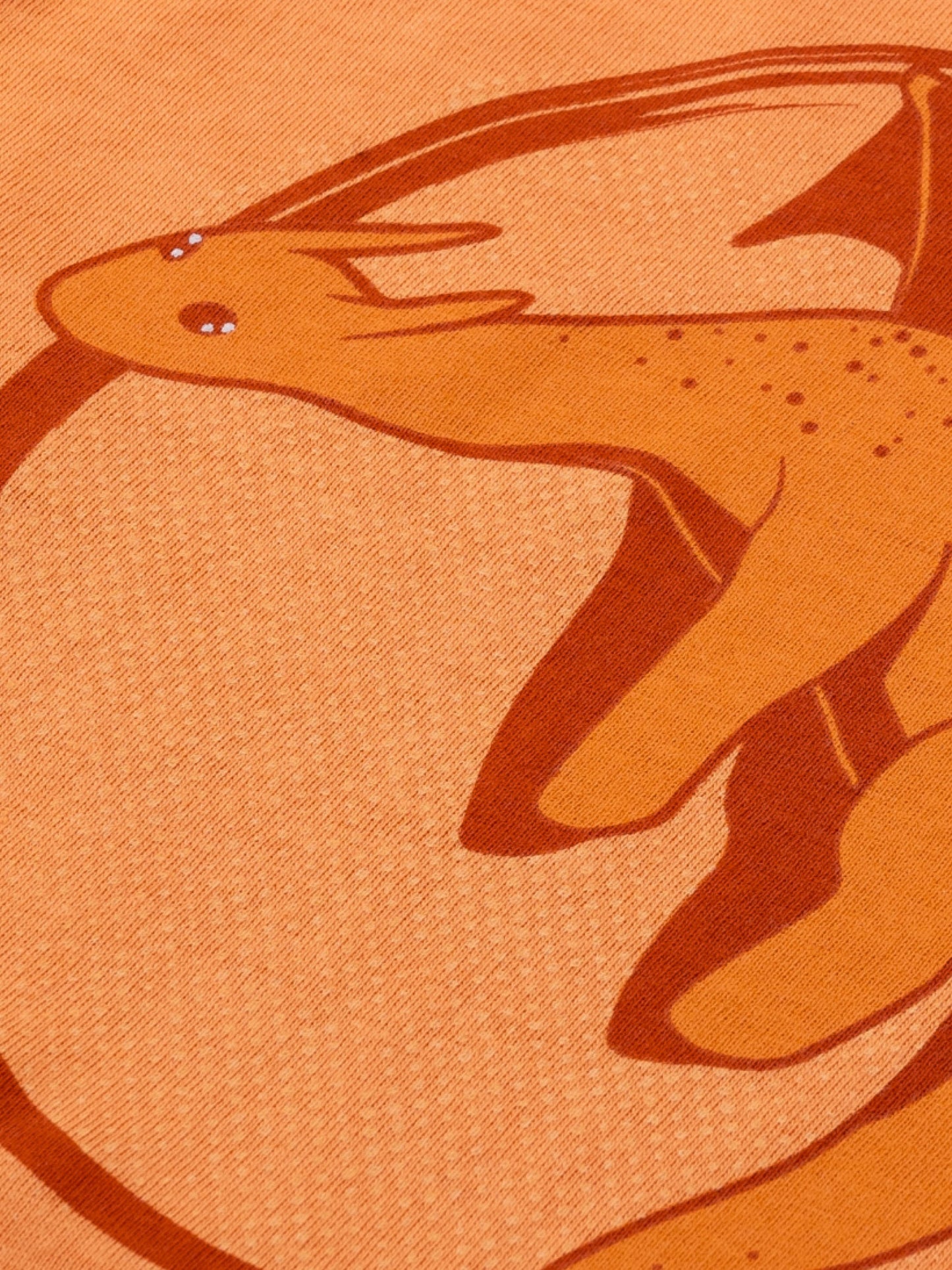 Majica dugih rukava za dječake | Flying Tan Dino