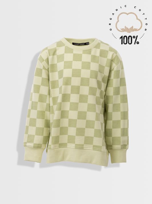 Pulover za dječake | Aloe Wash Checks