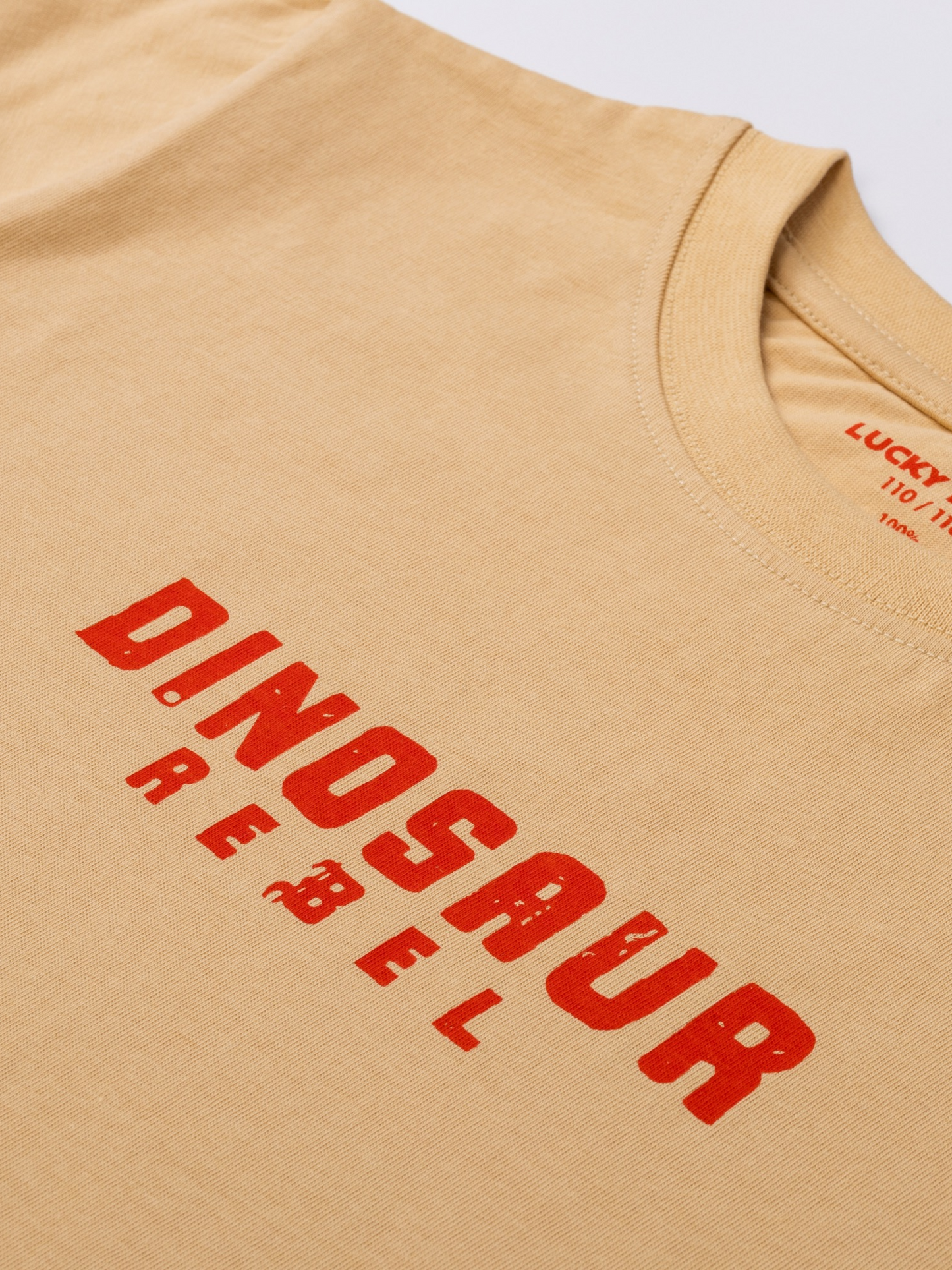 Dinosaur rebel | Majica kratkih rukava za dječake