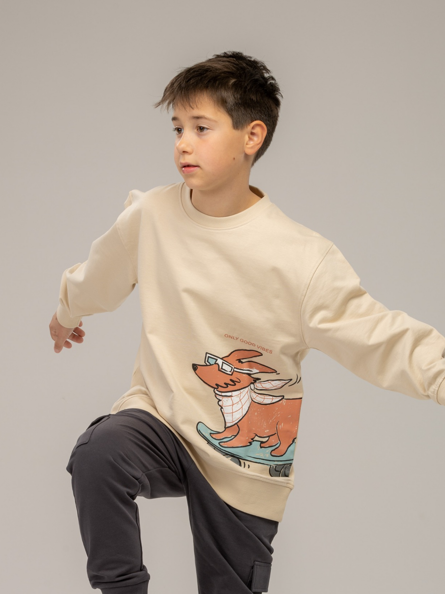 Skater dog Tan | Pulover za dječake