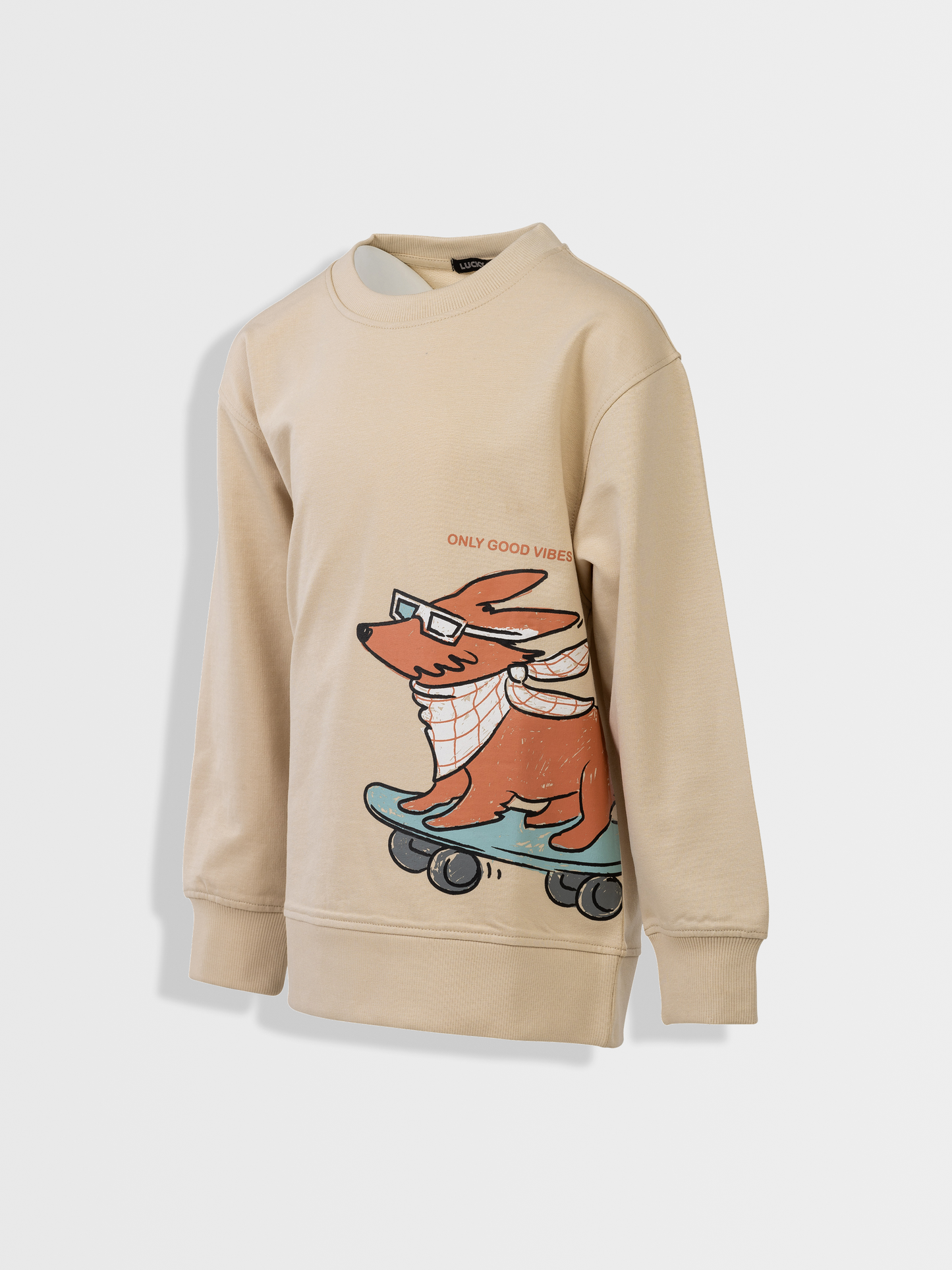 Skater dog Tan | Pulover za dječake