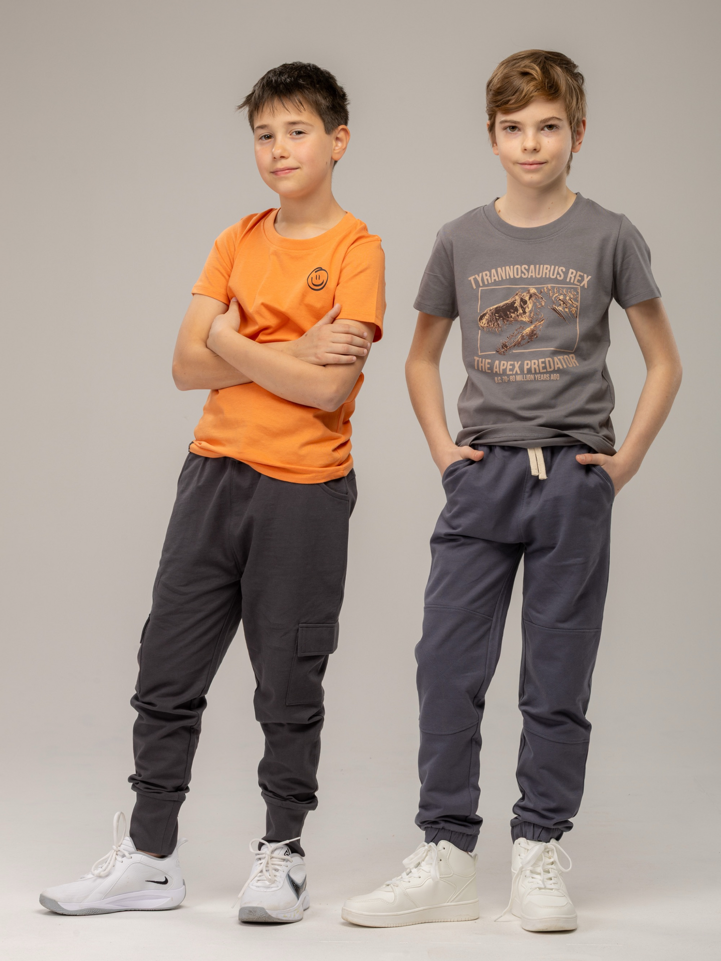Gargoyle Grey T-Rex | Majica kratkih rukava za dječake
