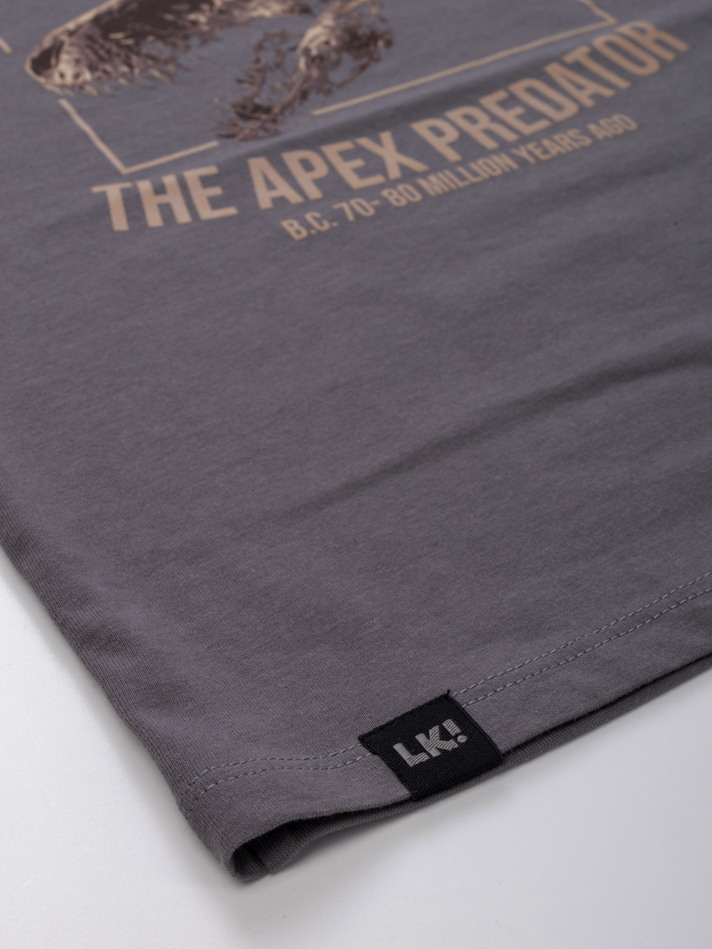 Gargoyle Grey T-Rex | Majica kratkih rukava za dječake