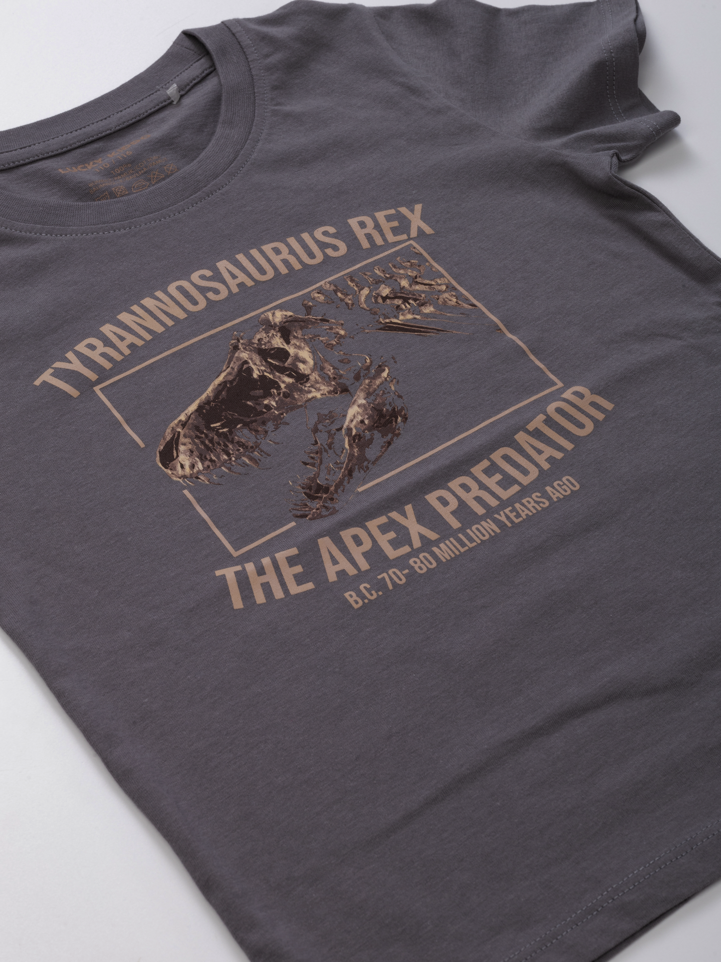 Gargoyle Grey T-Rex | Majica kratkih rukava za dječake