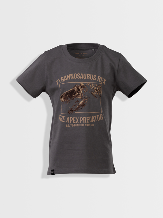 Gargoyle Grey T-Rex | Majica kratkih rukava za dječake