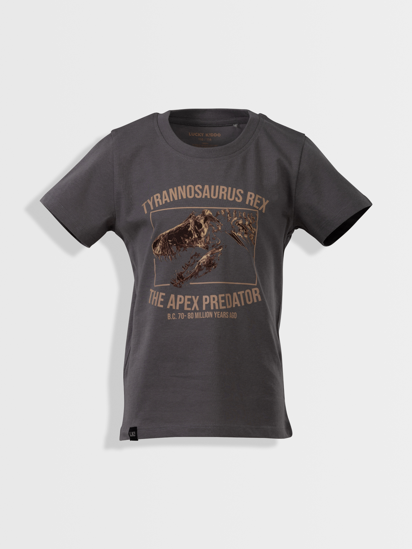 Gargoyle Grey T-Rex | Majica kratkih rukava za dječake