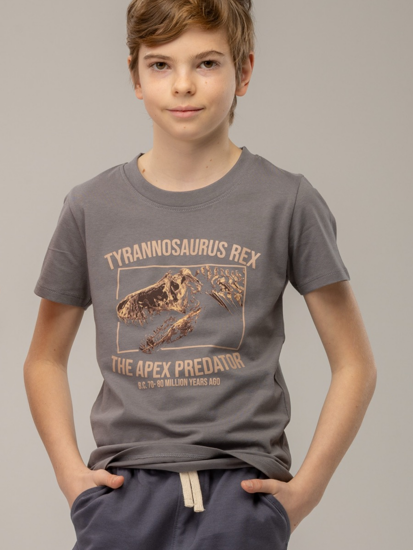 Gargoyle Grey T-Rex | Majica kratkih rukava za dječake