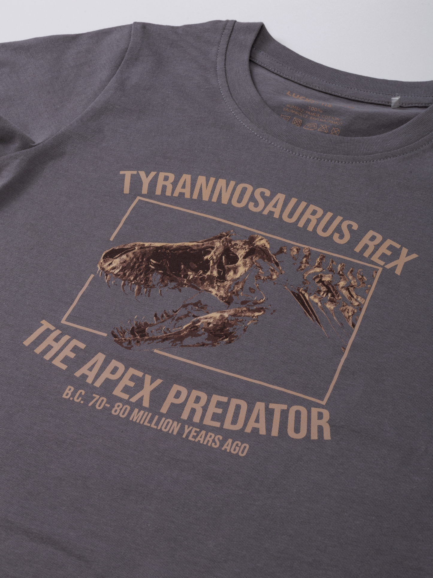 Gargoyle Grey T-Rex | Majica kratkih rukava za dječake