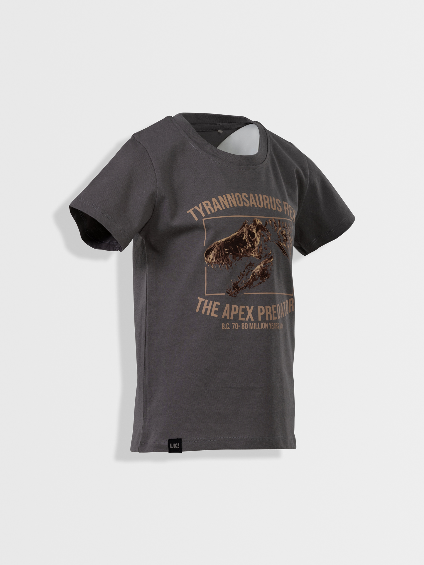 Gargoyle Grey T-Rex | Majica kratkih rukava za dječake