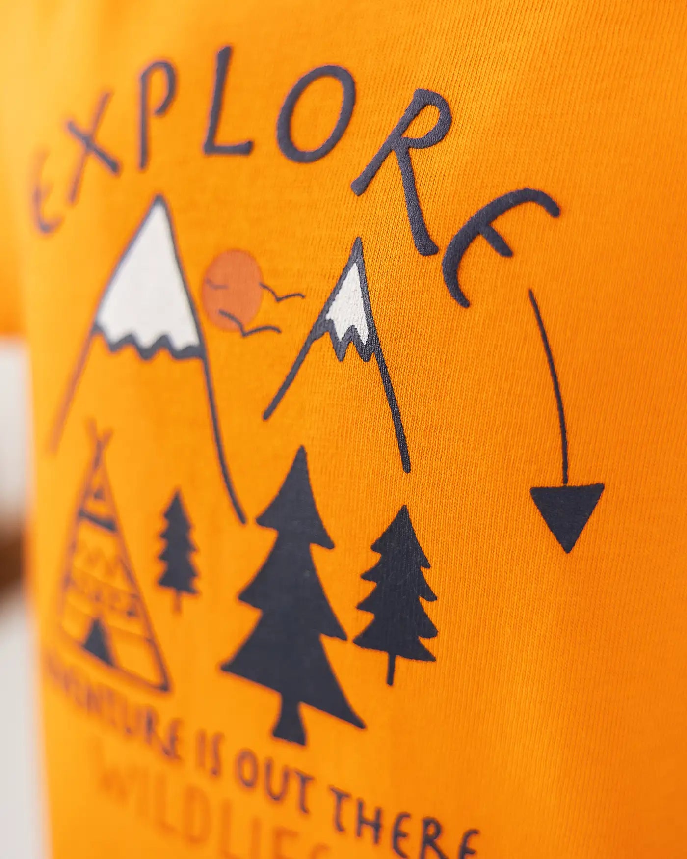 Majica za dječake | Wild Explorer