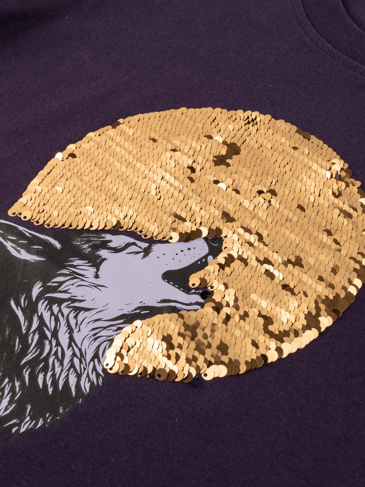 Mystic Wolf | Majica dugih rukava za dječake