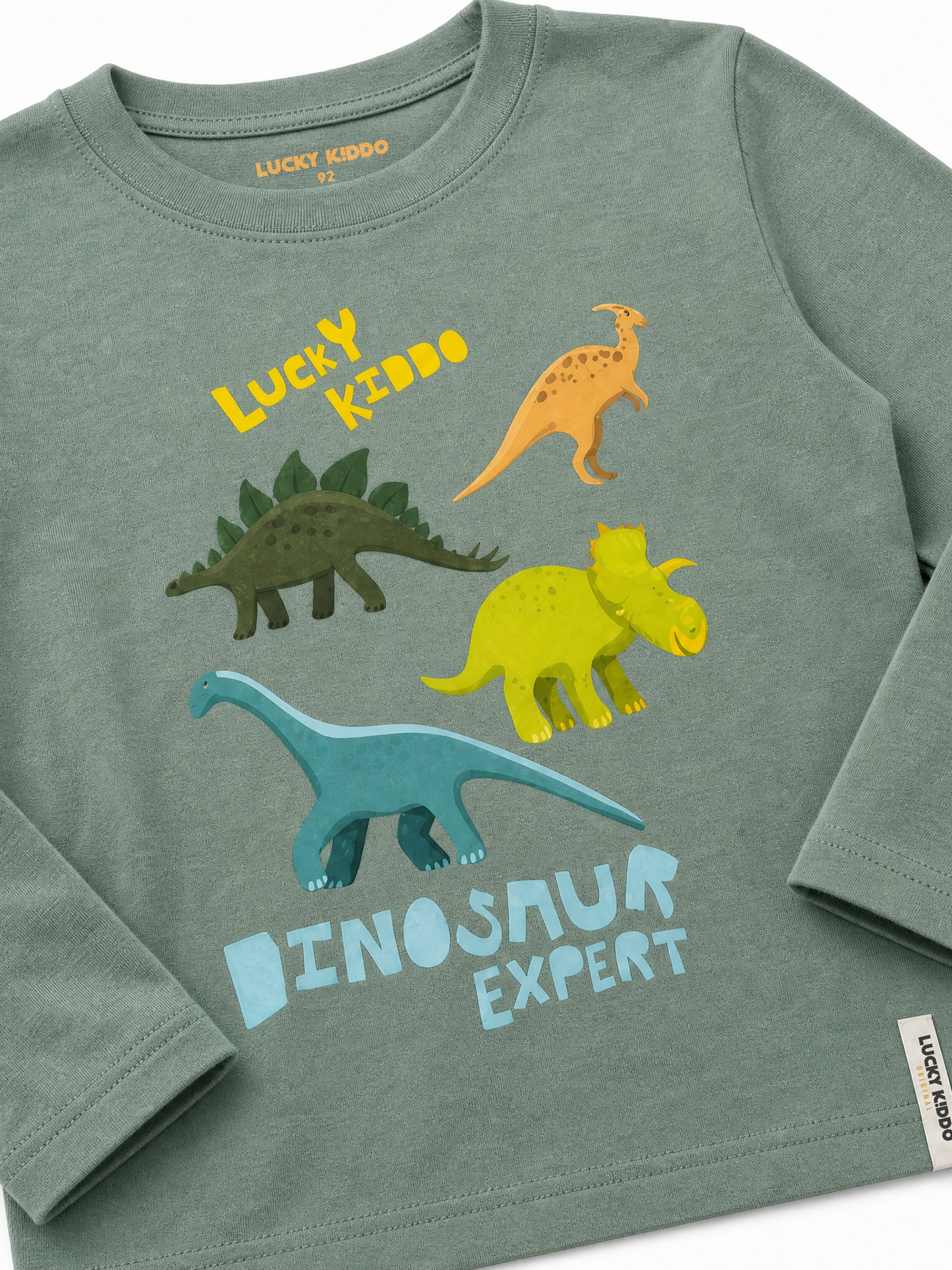 Green Dinosaur Expert | Majica dugih rukava za dječake - klasični kroj