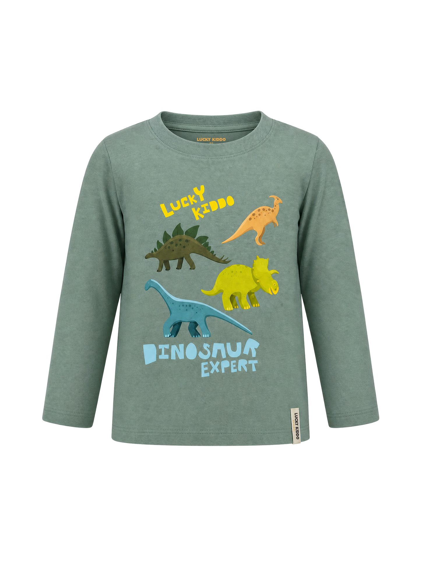 Green Dinosaur Expert | Majica dugih rukava za dječake - klasični kroj